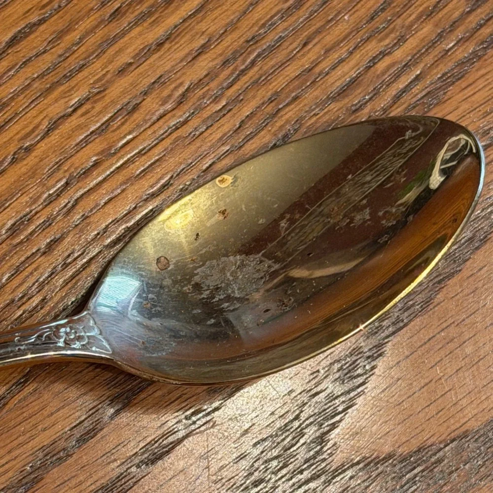 International Silver San Marcos Gold Electroplated Flatware Serving Spoon‎ 13 Pc